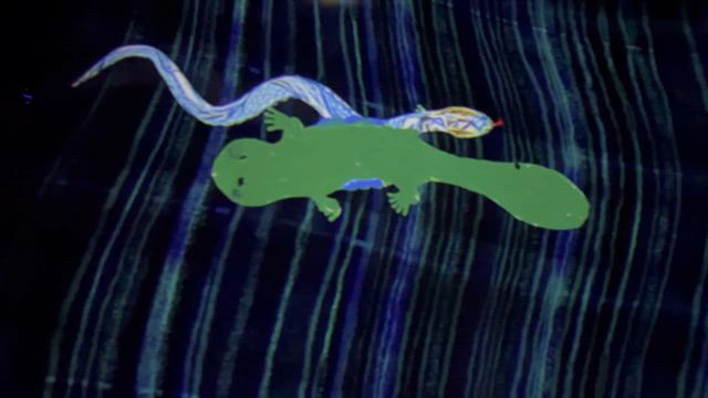 チームラボ！！！！の記事動画