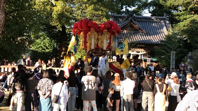 お祭り3日間➕1日の記事動画