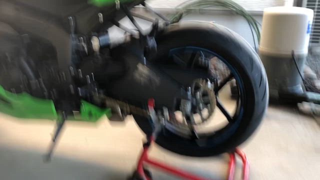 ゆっくりしたい休日なのに…の記事動画