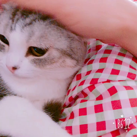 2017/02/21の画像