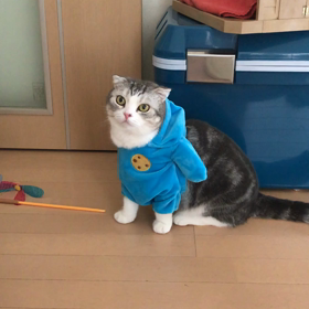 2018/08/24の画像