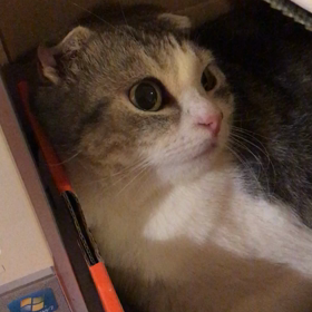 2017/06/22の画像