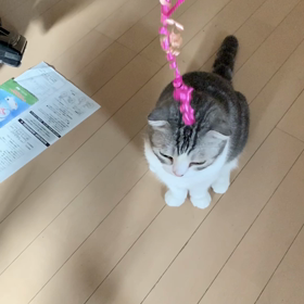 20200803の画像