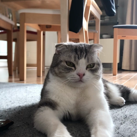 2017/12/12の画像