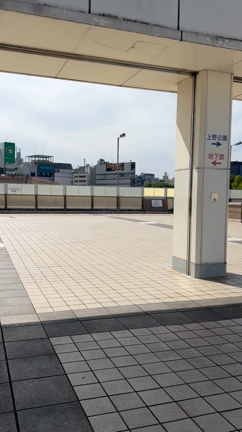 10月22日上野パンダ橋でサンセットヨガイベント会場の記事動画