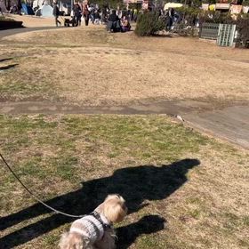 辻堂海浜公園・フードトラックイベント♡の画像