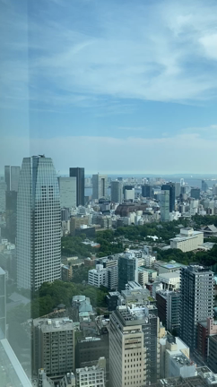 【プライベート東京旅行】東京タワービューのお部屋への記事動画