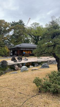 早朝の二条城を貸切で。静寂と華やぎに包まれた桜めぐりの記事動画