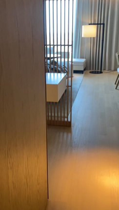 【プライベート東京旅行】東京タワービューのお部屋への記事動画