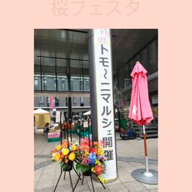 ステージ報告✨の画像