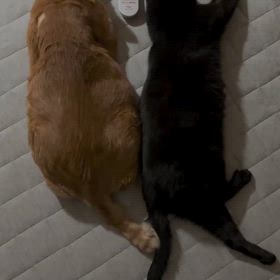 2024/11/22の画像