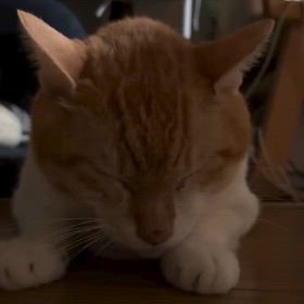 2024/10/05の画像
