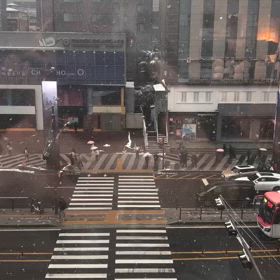 2024/11/27の画像