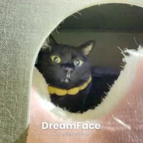 2025/01/31の画像