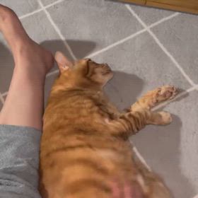 2025/03/19の画像