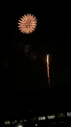 元気でた。の記事動画