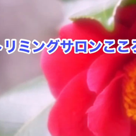 1月　〜スライドショー〜の画像