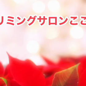 12月　〜スライドショー〜の画像