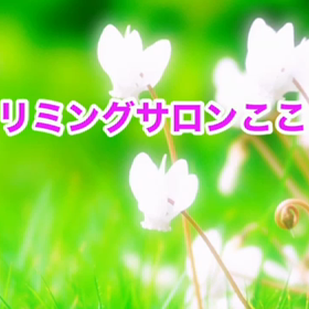 11月　〜スライドショー〜の画像