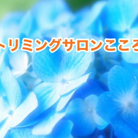 スライドショーの画像