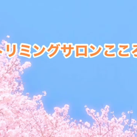 4月　〜スライドショー〜の画像