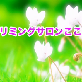 11月　〜スライドショー〜の画像