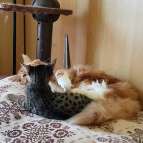 あれから七ヶ月の画像
