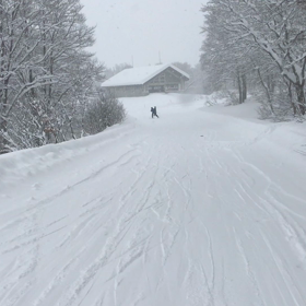 〜頑張れ未来のスター達〜の画像