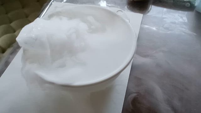 期待に応えられるよう頑張りますの記事動画