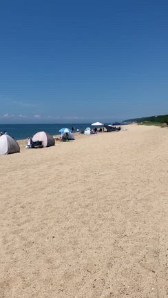 水が綺麗な海水浴場　淡路島　慶野松原の記事動画