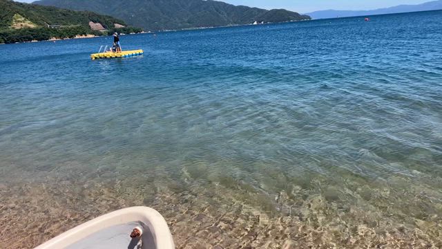 海は広い〜な、おおきいな〜♪福井県気比の松原にいますの記事動画