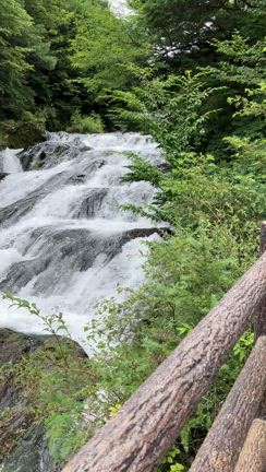 82歳父と行く日光東照宮・華厳の滝1泊2日家族旅行の記事動画