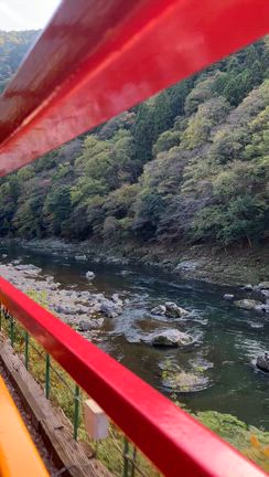 【京都紅葉】嵐山高雄ハイキングと嵯峨野トロッコ列車の記事動画