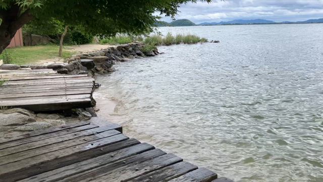 【続・琵琶湖絶景カフェ】シャーレ水ヶ浜の湖畔で遭遇した生き物の記事動画