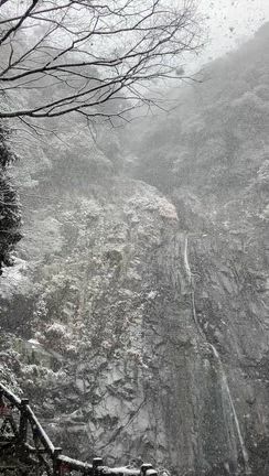 【神戸日帰り】雪の布引の滝で絶景に出会えた51歳主婦の小さな冒険の記事動画