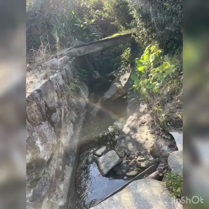 チャレンジの記事動画