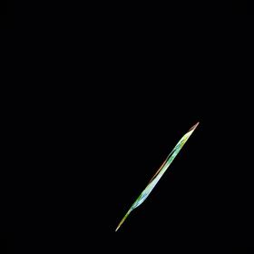 2025/11/19の画像