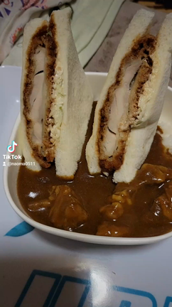 カツサンドをカレーライスに入れてみたの記事動画