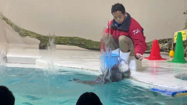 今日はの記事動画