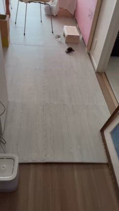おんぷちゃんのシャーはこんな感じです( ᐡᴗ ̫ ᴗᐡ)の記事動画