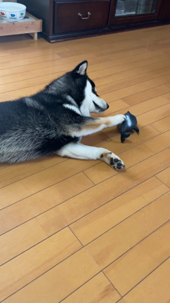 いたずらしまくりマンの記事動画