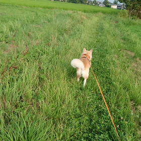＜動画三昧＞帰りは倍速のサムネイル画像