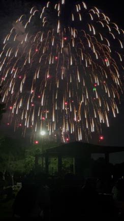 今年もの記事動画