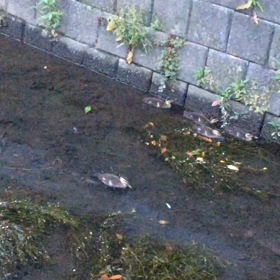 今日の尚整体♪の画像