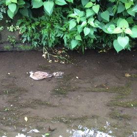 今日の尚整体♪の画像