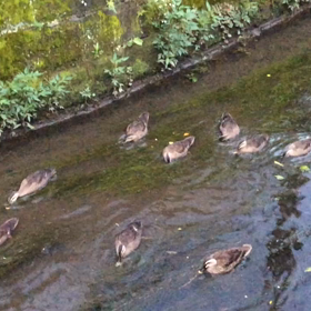 今日の尚整体♪の画像