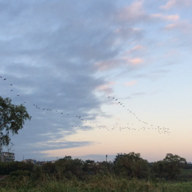 今日の尚整体♪の画像