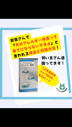 アポキルに次ぐ、ゼンレリア！売れてしまうんだろうなぁと思うことの記事動画
