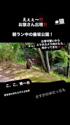 えー、こんなところに！お猿さんに遭遇‼️ゆだっち逃げる‼️の記事動画