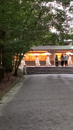 大人の遠足♪伊勢神宮に行ってきました！の記事動画